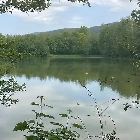 Apartmán Haus 12 See- Und Bayerwaldblick Eg Arrach