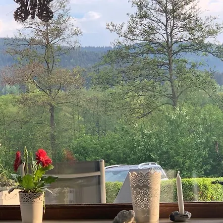 Haus 12 See- Und Bayerwaldblick Eg * Arrach